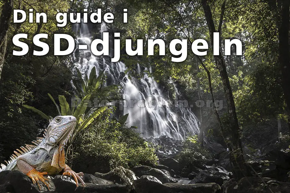 Din guide i SSD-hårddisk djungeln