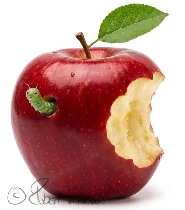 it support för macintosh