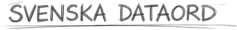 Svenska dataord